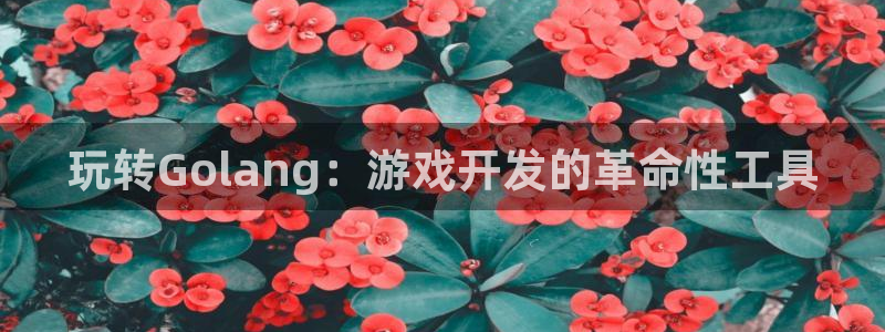 三牛娱乐登录：玩转Golang：游戏开发的革命性工具