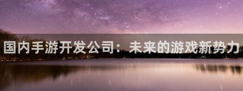 三牛娱乐是网络诈骗平台吗：国内手游开发公司：未来的游戏新势力
