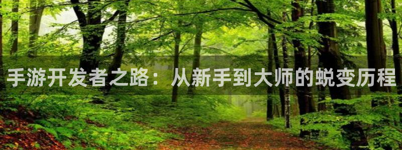 三牛娱乐负责人是谁：手游开发者之路：从新手到大师的蜕变历程