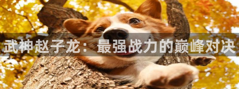 江苏三牛：武神赵子龙：最强战力的巅峰对决