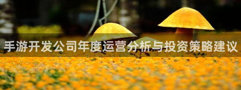 三牛娱乐管网：手游开发公司年度运营分析与投资策略建议
