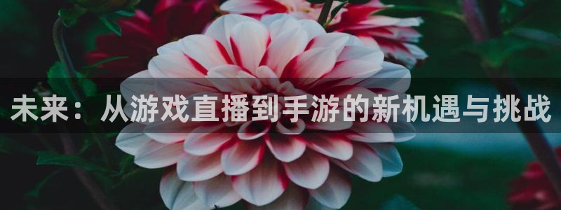 三牛娱乐挂机：未来：从游戏直播到手游的新机遇与挑战