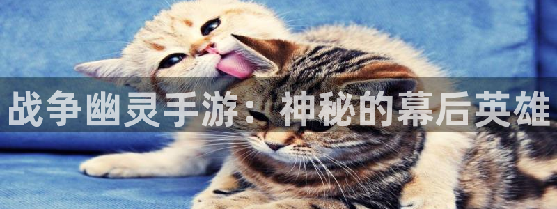 三牛娱乐负责人