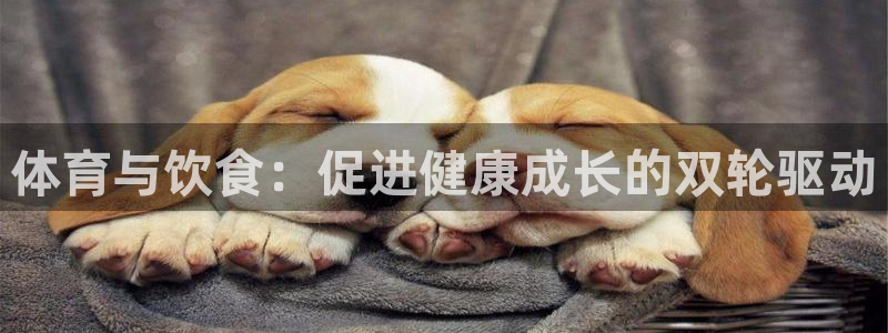 k1体育下载地址：体育与饮食：促进健康成长的双轮驱动