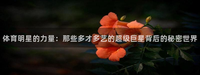 k1体育网站登录官网：体育明星的力量：那些多才多艺的超级巨星背后的秘密世界