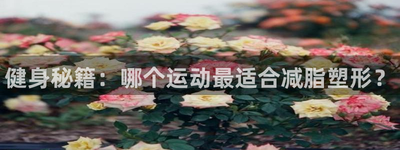 k1体育 十年品牌：健身秘籍：哪个运动最适合减脂塑形？