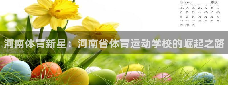 k1体育app下载：河南体育新星：河南省体育运动学校的崛起之路