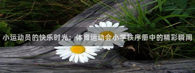 k1体育十年平台：小运动员的快乐时光：体育运动会小学秩序册中的精彩瞬间
