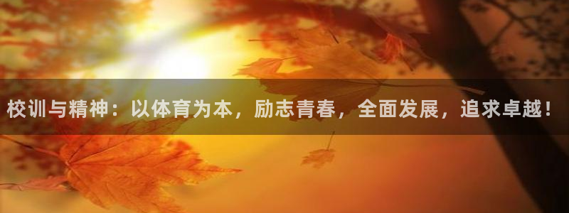 k1体育平台最新网站下载：校训与精神：以体育为本，励志青春，全面发展，追求卓越！