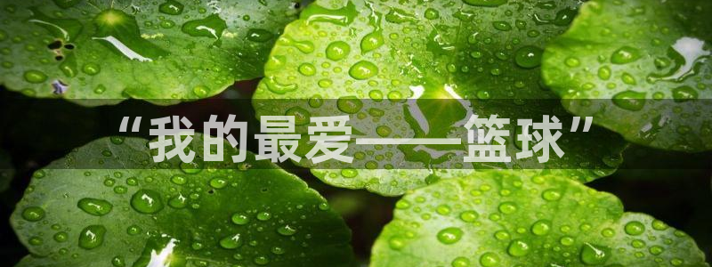k1体育平台最新网站下载：“我的最爱——篮球”