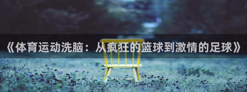 k1体育网址是多少：《体育运动洗脑：从疯狂的篮球到激情的足球》