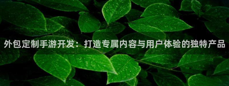 三牛娱乐如何注册：外包定制手游开发：打造专属内容与用户体验的